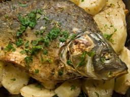Karp duszony
