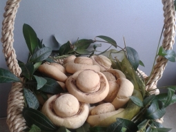 Ciasteczka pieczarki