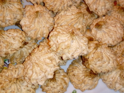 Kokosanki bezowe