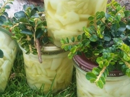 MIZERIA  Z OGÓRKÓW Z CEBULĄ I  NUTA CURRY