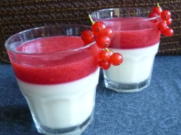 Panna cotta z czerwoną porzeczką