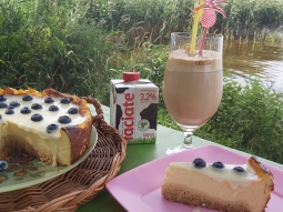 Sernik z polewą czekoladową