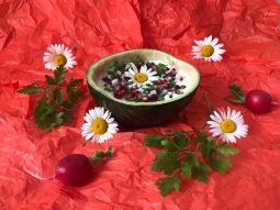 Chłodnik z awokado